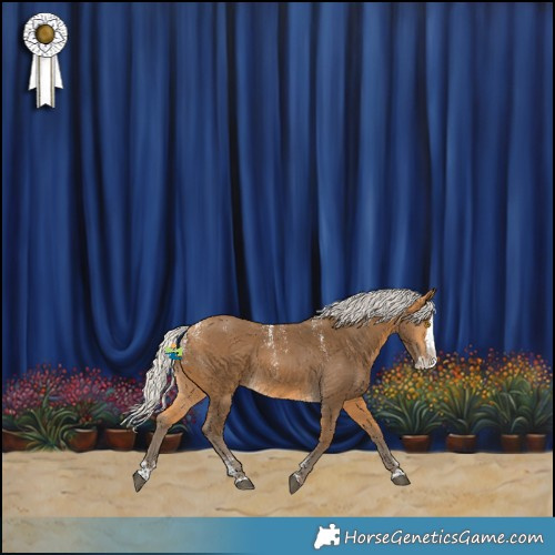 Horse Color:Powder White Silver Buckskin Splash 