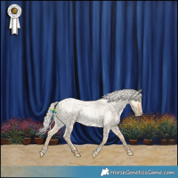 Horse Color:Powder White Silver Buckskin Roan Pearl Dun 