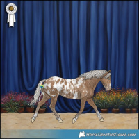 Horse Color:Powder White Gray Silver Smoky Creme Appaloosa 
