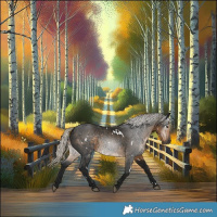 Horse Color:Gray White Spotted Silver Smoky Black