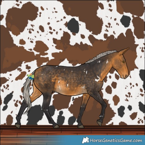 Horse Color:White Spotted Silver Buckskin 