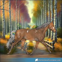 Horse Color:White Spotted Silver Buckskin 