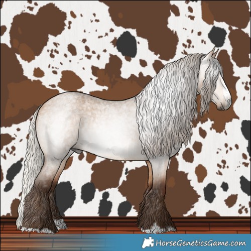 Horse Color:Gray Silver Bay Roan Dun Splash 