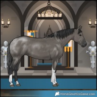 Horse Color:Grullo Tobiano