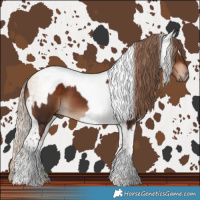 Horse Color:Liver Chestnut Tobiano  and Gray Gold Champagne Dun Tobiano 