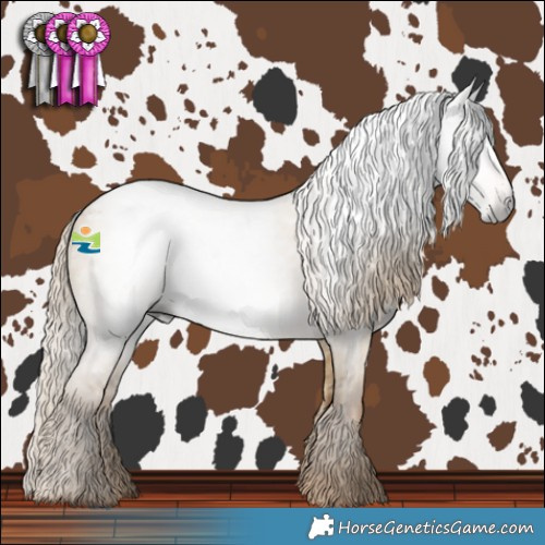 Horse Color:Gray Chocolate Palomino Dun Varnish 