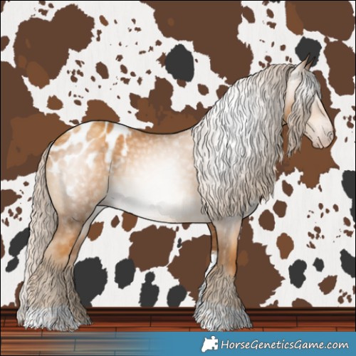 Horse Color:Gray Gold Cream Champagne Tobiano Blanket 