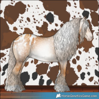 Horse Color:Gray Gold Cream Champagne Tobiano Blanket 
