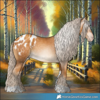 Horse Color:Gray Gold Cream Champagne Tobiano Appaloosa 