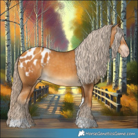 Horse Color:Gray Gold Cream Champagne Tobiano Appaloosa 