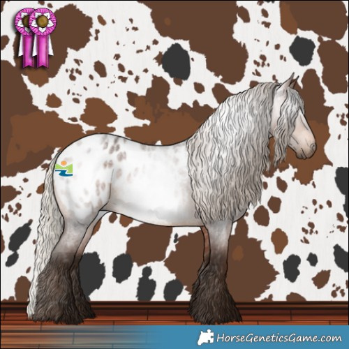Horse Color:Gray Silver Bay Roan Blanket 