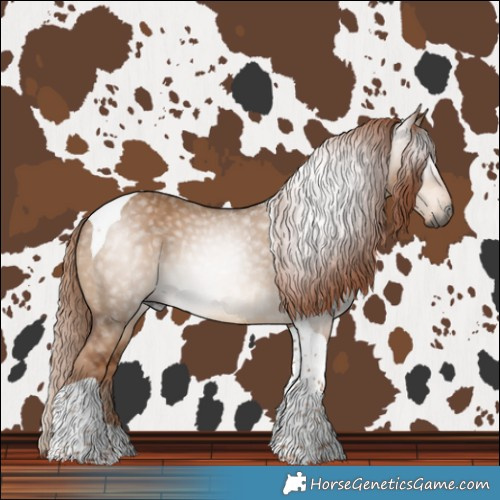 Horse Color:Gray Red Dun Tobiano 