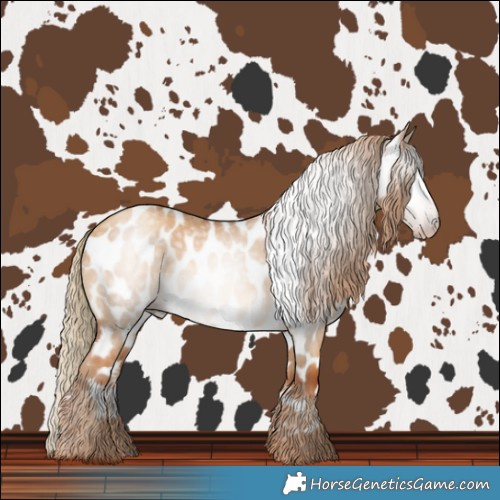 Horse Color:Gray Gold Champagne Dun Near Leopard 