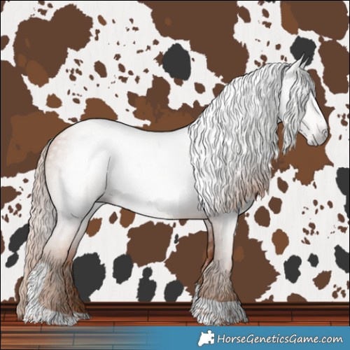 Horse Color:Gray Gold Champagne Tobiano 