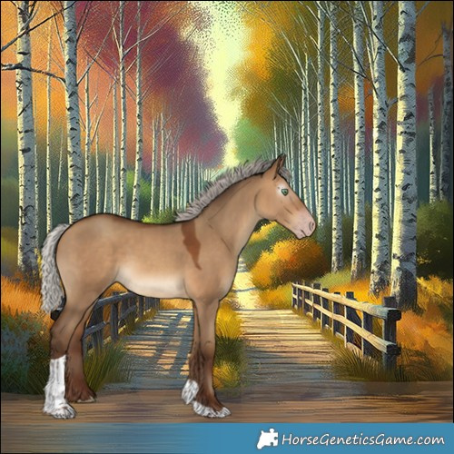 Horse Color:Gray Silver Amber Champagne Dun Tobiano