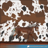Horse Color:Silver Brown Tobiano 