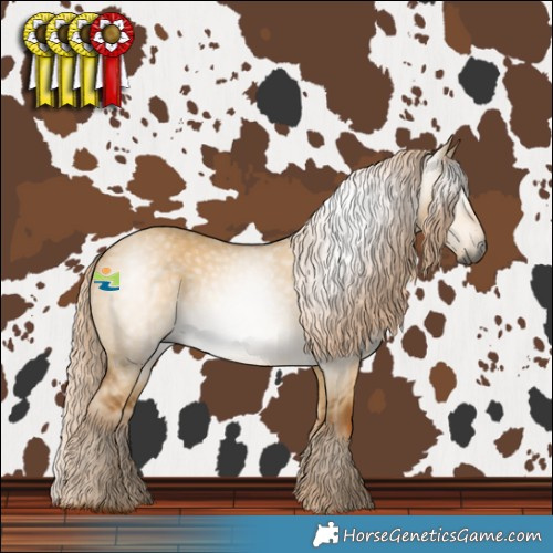 Horse Color:Gray Palomino Dun 