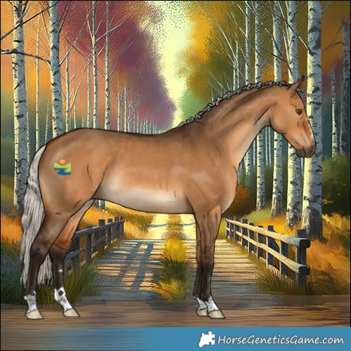 Horse Color:Gray Silver Bay Dun Rabicano