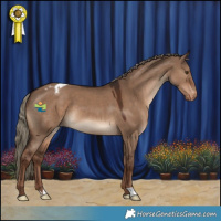 Horse Color:Liver Red Dun Appaloosa 