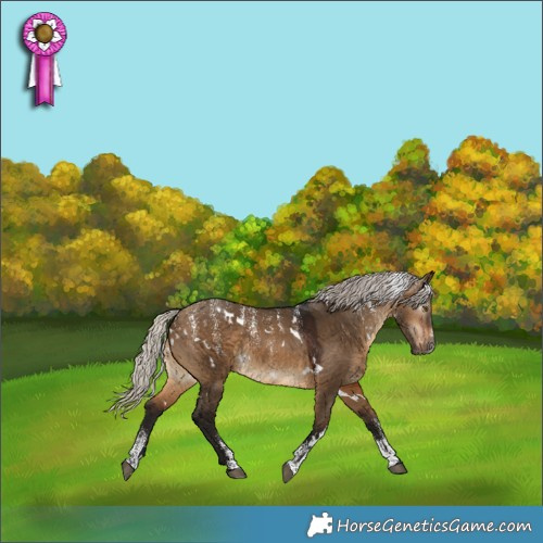 Horse Color:Powder White Gray White Spotted Silver Brown Dun Appaloosa 