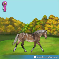 Horse Color:Powder White Gray White Spotted Silver Brown Dun Appaloosa