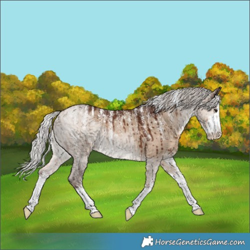 Horse Color:Powder White White Spotted Silver Brown Dun Brindle 