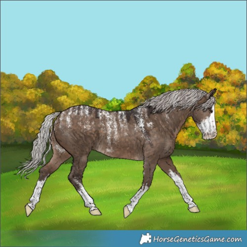 Horse Color:Powder White White Spotted Silver Brown Dun