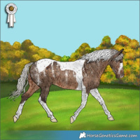 Horse Color:Powder White Silver Brown Dun Tobiano Rabicano Brindle