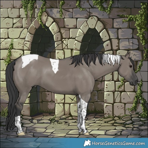 Horse Color:Grullo Tobiano 