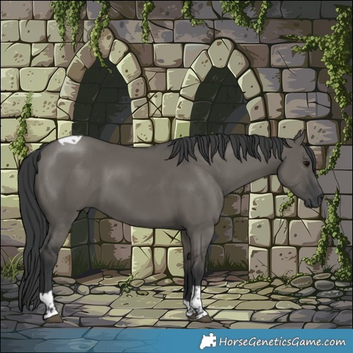 Horse Color:Grullo Tobiano 