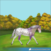 Horse Color:Watercolor Silver Smoky Blue Onyx Merle Tobiano Appaloosa