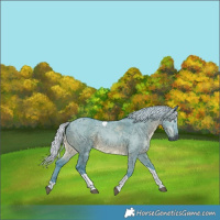 Horse Color:Gray Watercolor Silver Grullo Merle Tobiano
