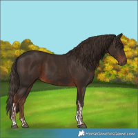 Horse Color:Liver Chestnut  and Liver Chestnut Tobiano 