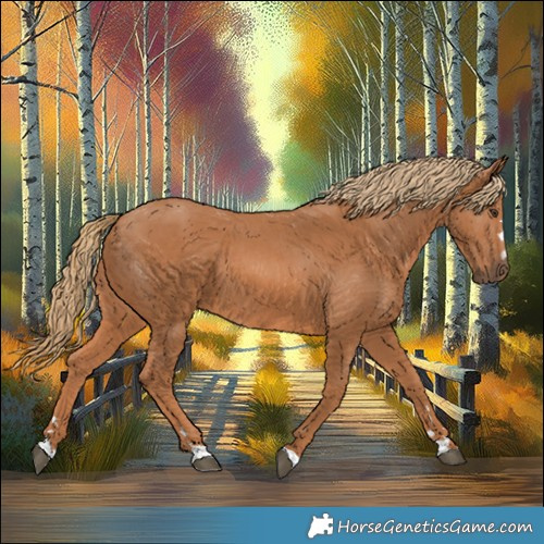 Horse Color:Chestnut 