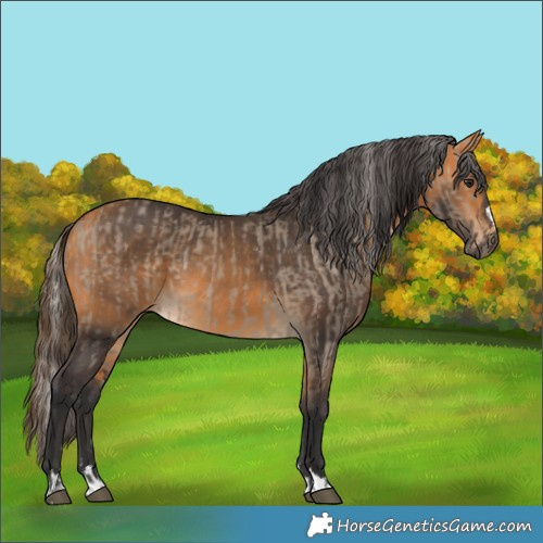Horse Color:Silver Brown Dun and Buckskin