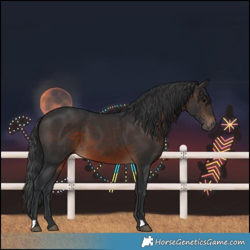 Horse Color:Brown 