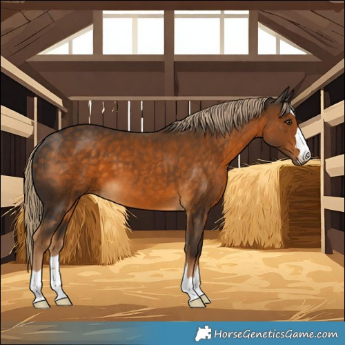 Horse Color:Chocolate Palomino 