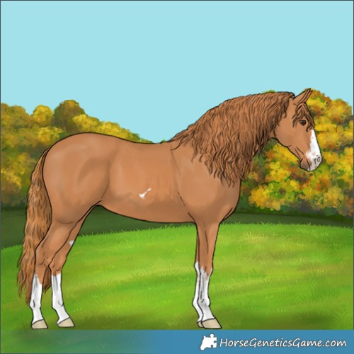 Horse Color:Unknown 