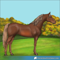 Horse Color:Chestnut 