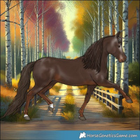 Horse Color:Gray Chestnut 