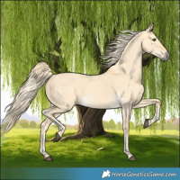 Horse Color:Palomino Dun 