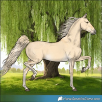 Horse Color:Palomino Dun