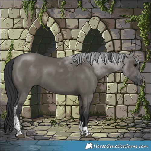 Horse Color:Grullo Tobiano