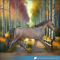 Horse Color:Bay Varnish 