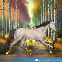 Horse Color:Classic Champagne Dun 