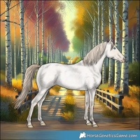 Horse Color:Smoky Creme Roan Dun 