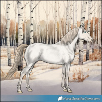 Horse Color:Smoky Creme Roan Dun