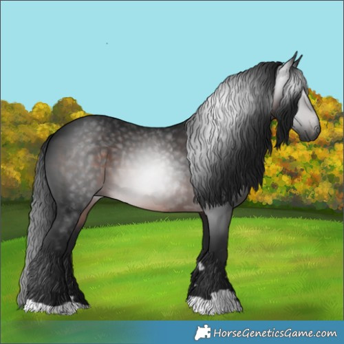 Horse Color:Gray Brown 