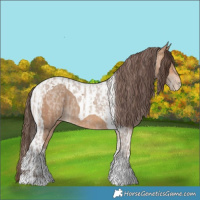 Horse Color:Amber Champagne Sabino Tobiano Appaloosa  and Amber Champagne Tobiano Appaloosa 