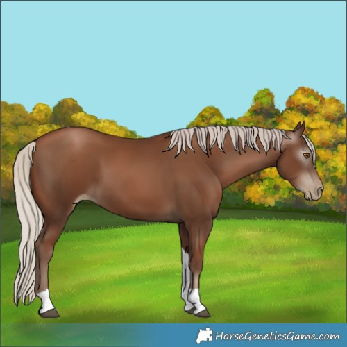 Horse Color:Gray Silver Black Pearl Tobiano 